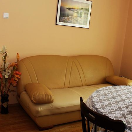 Guesthouse Planinsko Gnezdo Tŭzha Zewnętrze zdjęcie