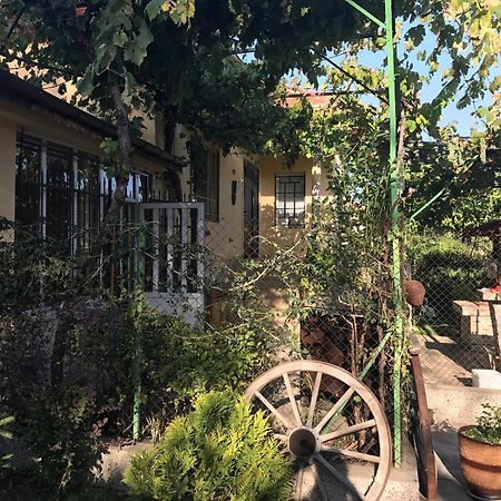 Guesthouse Planinsko Gnezdo Tŭzha Zewnętrze zdjęcie
