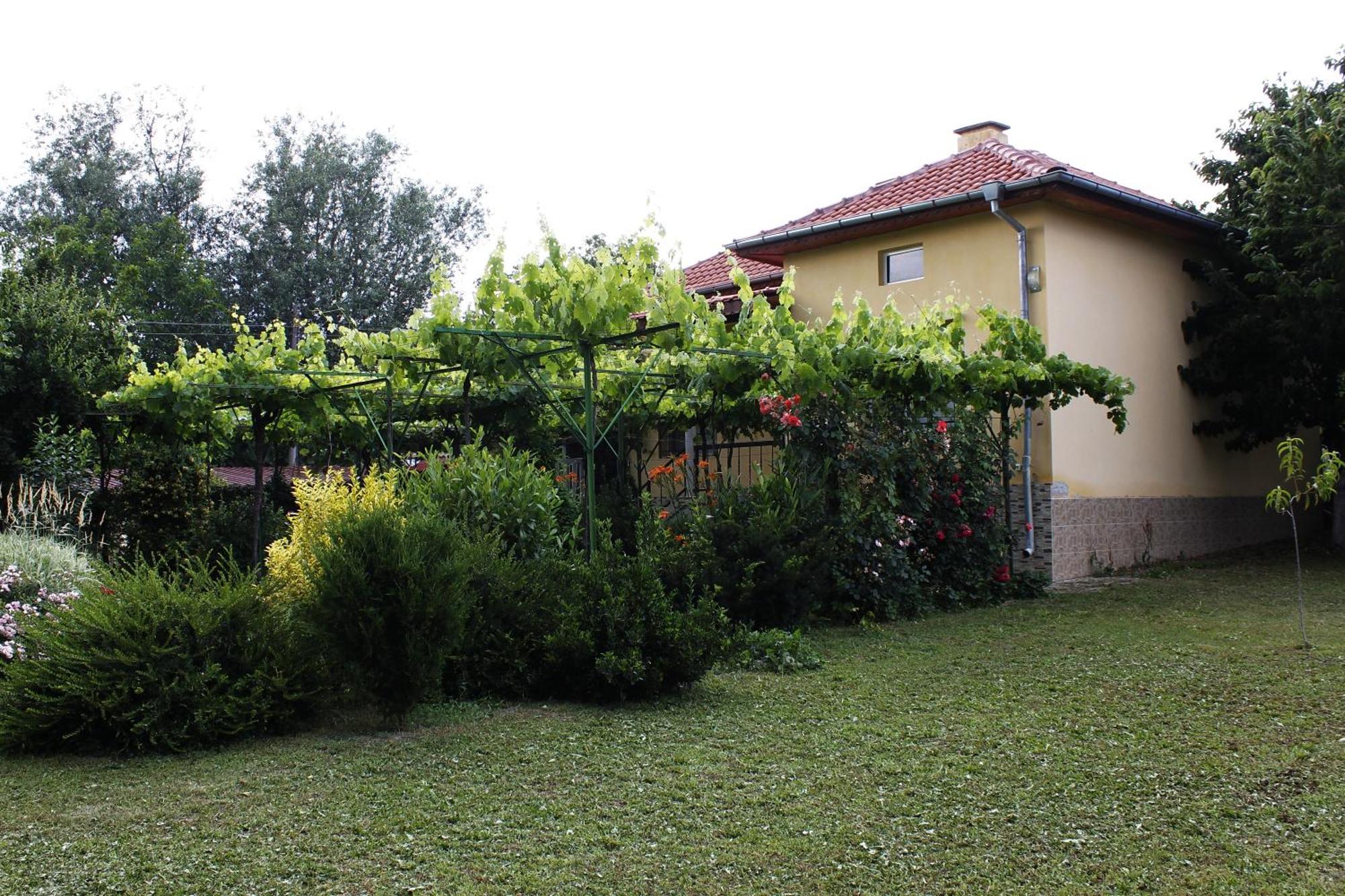 Guesthouse Planinsko Gnezdo Tŭzha Zewnętrze zdjęcie