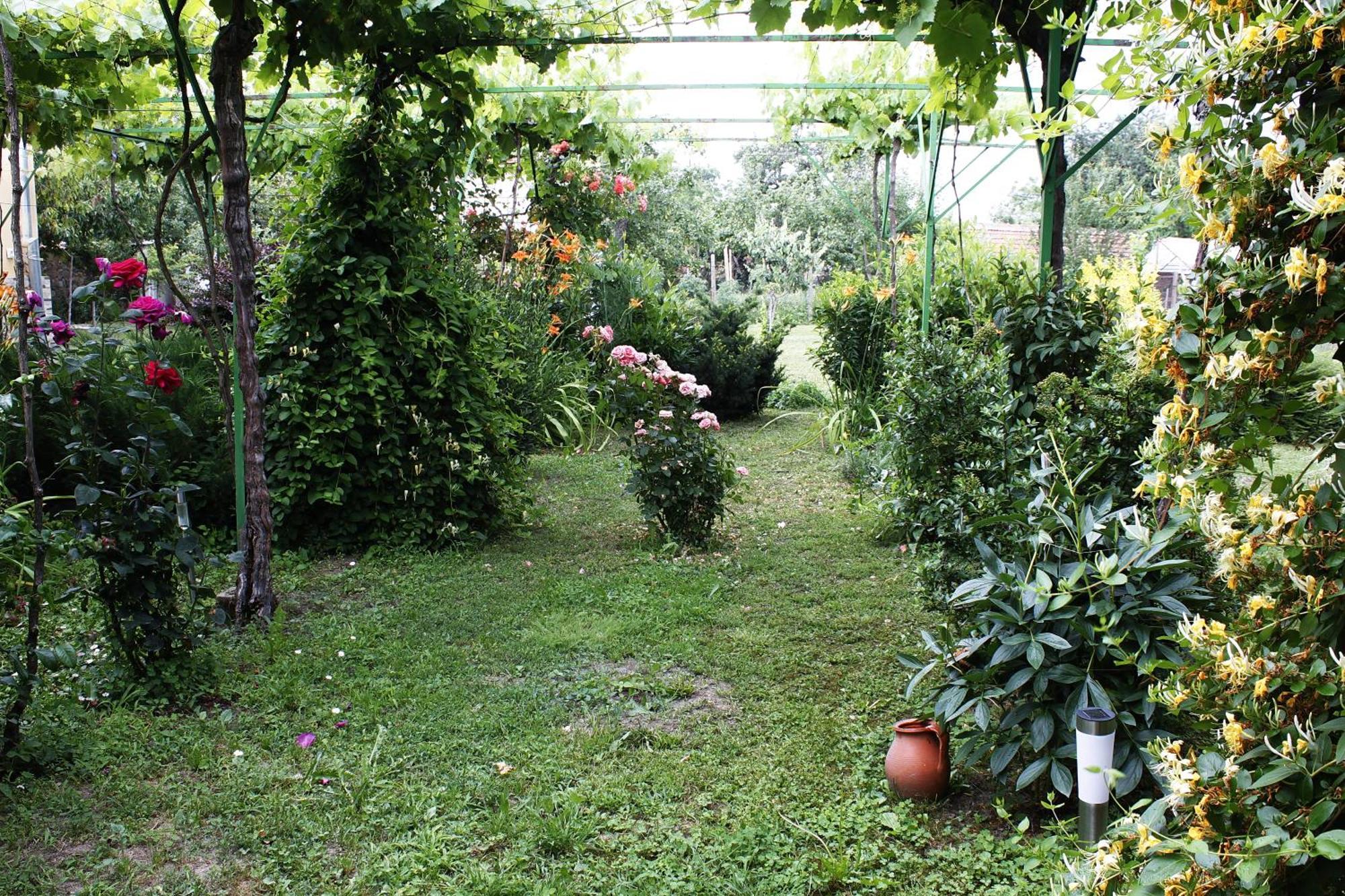 Guesthouse Planinsko Gnezdo Tŭzha Zewnętrze zdjęcie