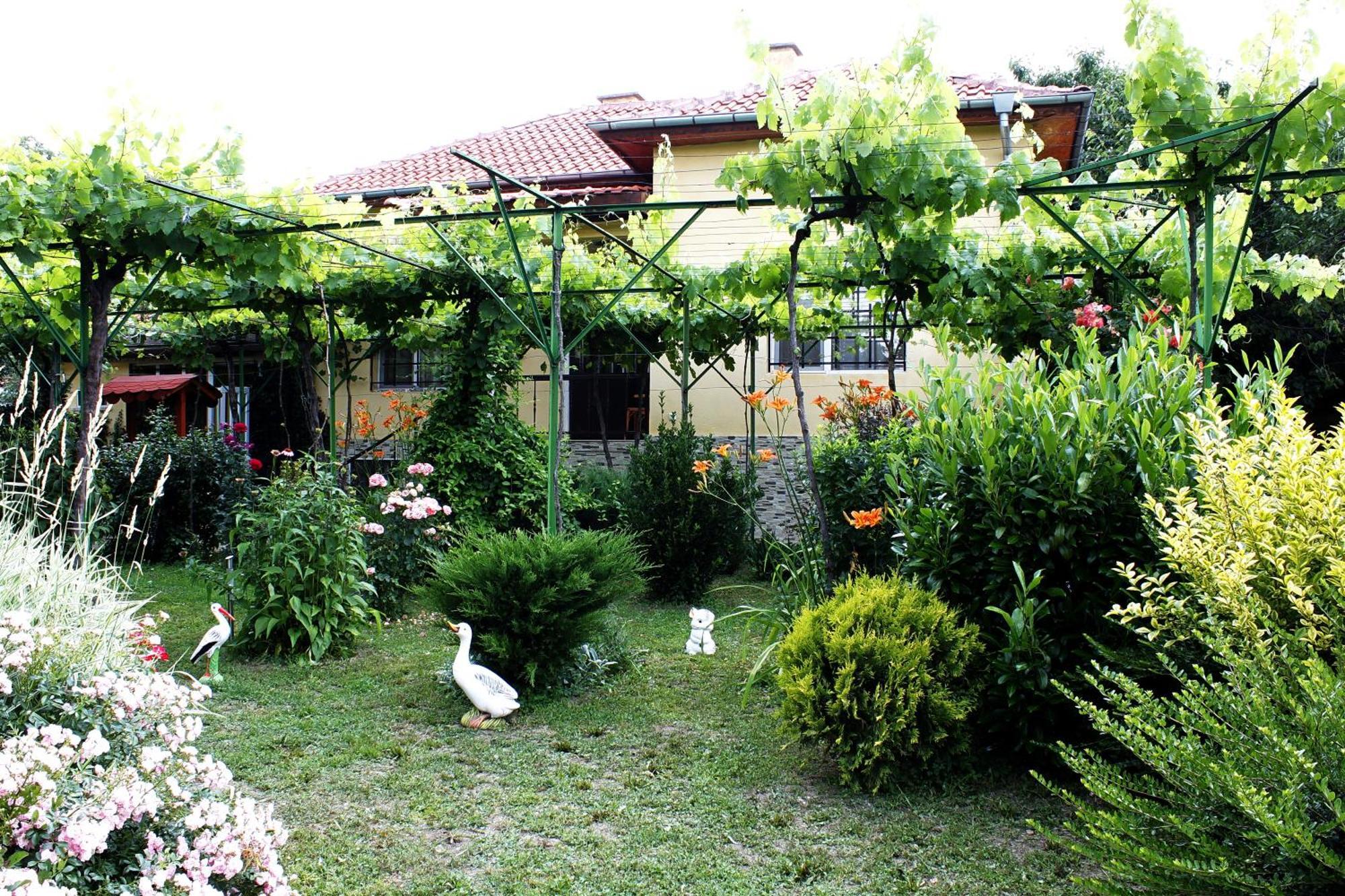 Guesthouse Planinsko Gnezdo Tŭzha Zewnętrze zdjęcie