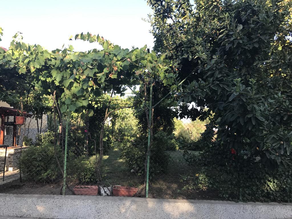 Guesthouse Planinsko Gnezdo Tŭzha Zewnętrze zdjęcie