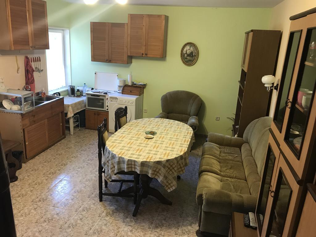 Guesthouse Planinsko Gnezdo Tŭzha Zewnętrze zdjęcie