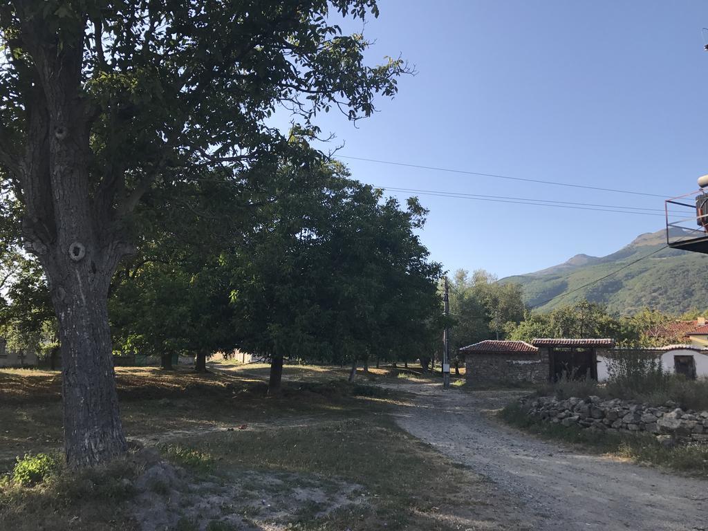 Guesthouse Planinsko Gnezdo Tŭzha Zewnętrze zdjęcie