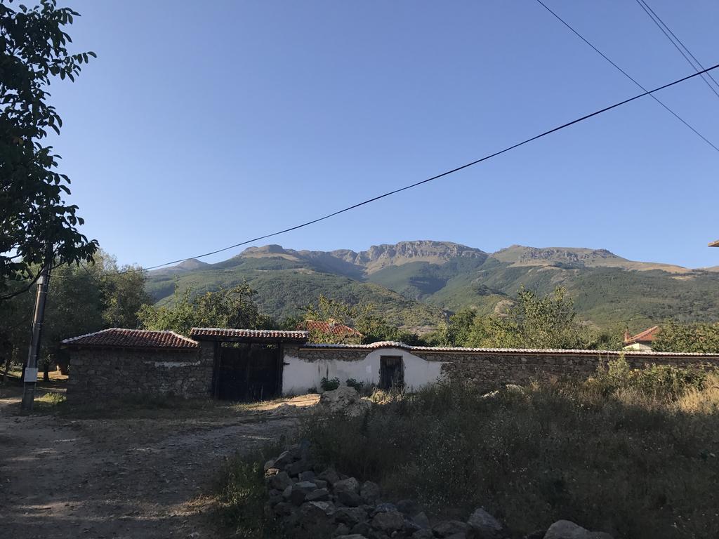 Guesthouse Planinsko Gnezdo Tŭzha Zewnętrze zdjęcie