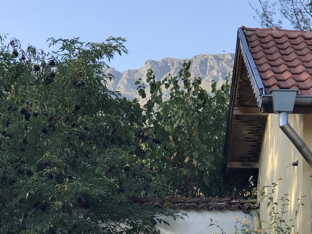 Guesthouse Planinsko Gnezdo Tŭzha Zewnętrze zdjęcie