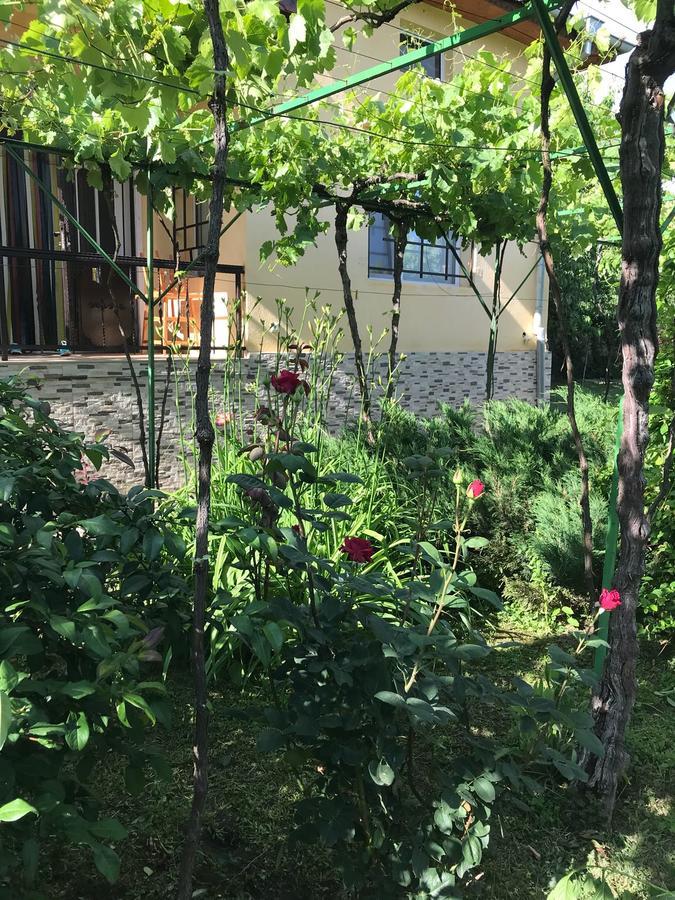 Guesthouse Planinsko Gnezdo Tŭzha Zewnętrze zdjęcie