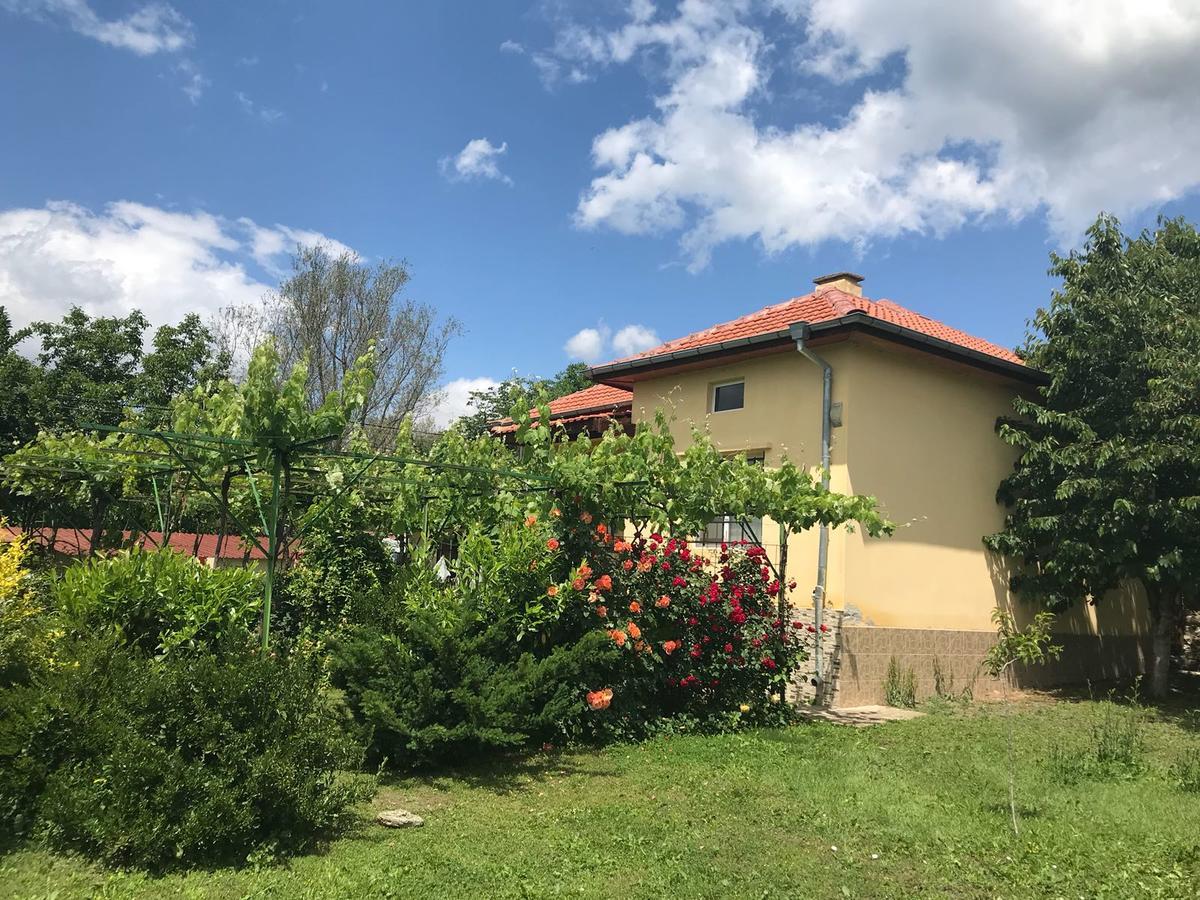 Guesthouse Planinsko Gnezdo Tŭzha Zewnętrze zdjęcie