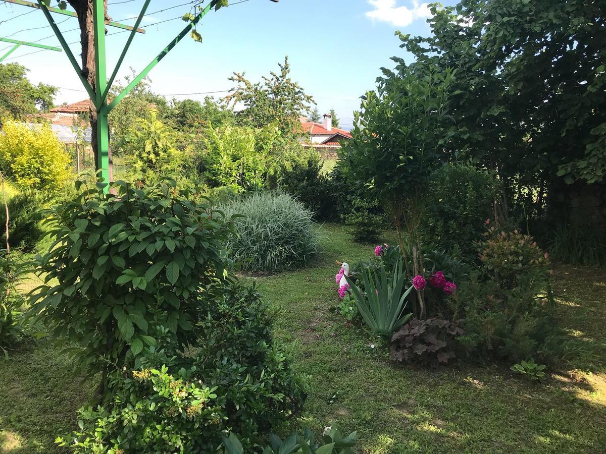 Guesthouse Planinsko Gnezdo Tŭzha Zewnętrze zdjęcie